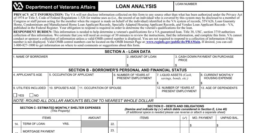 portion of gaps in va loan analysis form