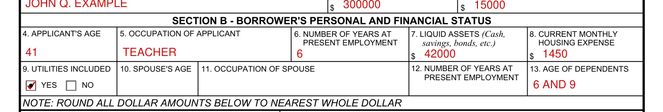 Form 26-6393 example filled out, section B: Borrower's Personal and Financial Status