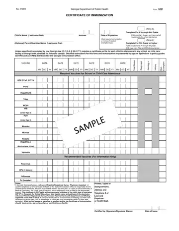 Form 3231 Preview