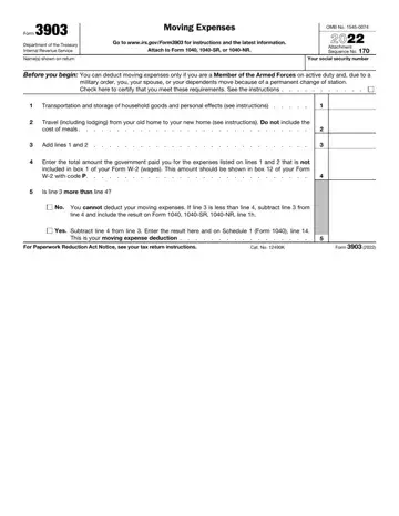 Form 3903 Preview