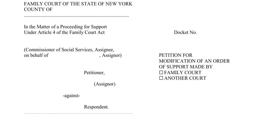 example of blanks in child support forms ny