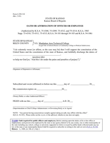 Form 4 250 110 Preview
