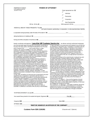 Form 5291 Preview