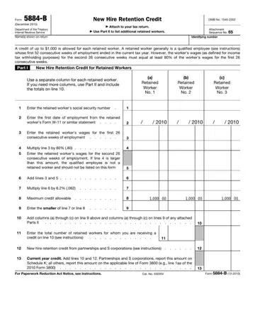Form 5884 B Preview