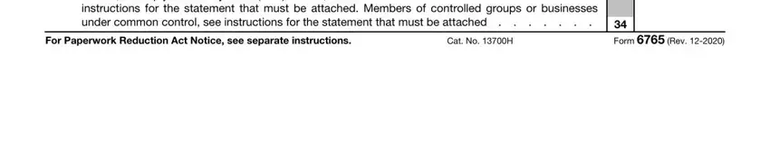 6765 Add lines  and  Are you electing, For Paperwork Reduction Act Notice, Cat No H, and Form  Rev blanks to fill out