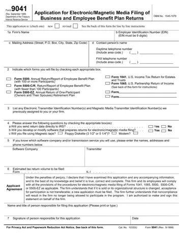 Form 9041 Preview