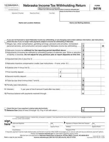 Form 941N Preview