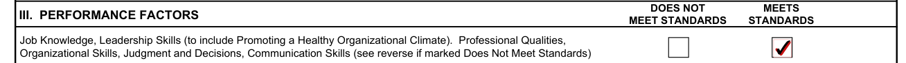 AF Form 707 example filled out, performance factors