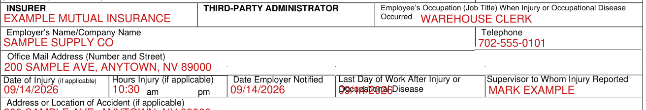 Form C-4 example filled out, insurer, Occupation and Employer