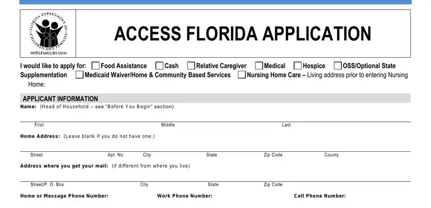 step 4 to filling out florida access children families application