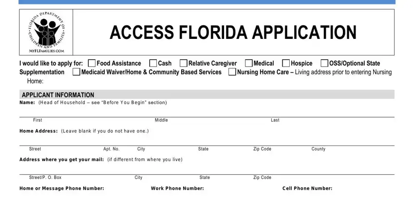 step 4 to filling out florida cf access children families