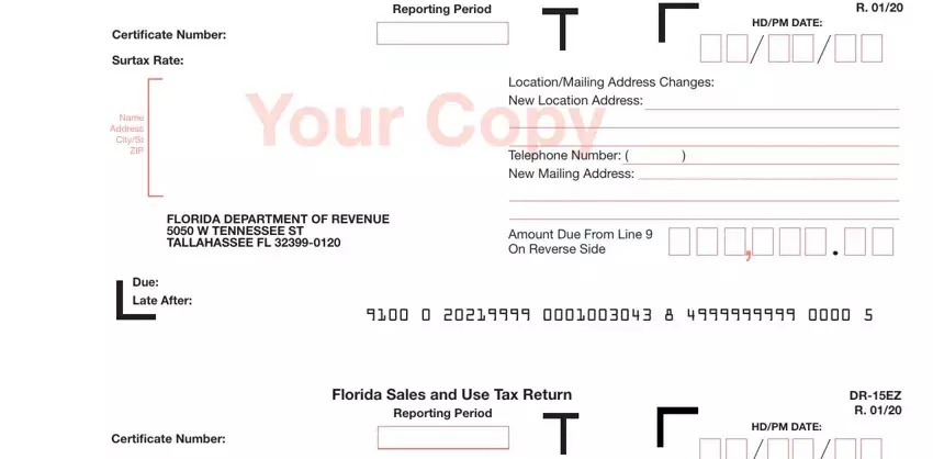 entering details in fl dr 15ez stage 1