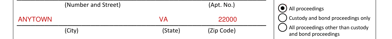Form EOIR-28 example filled out, entry of Appearance