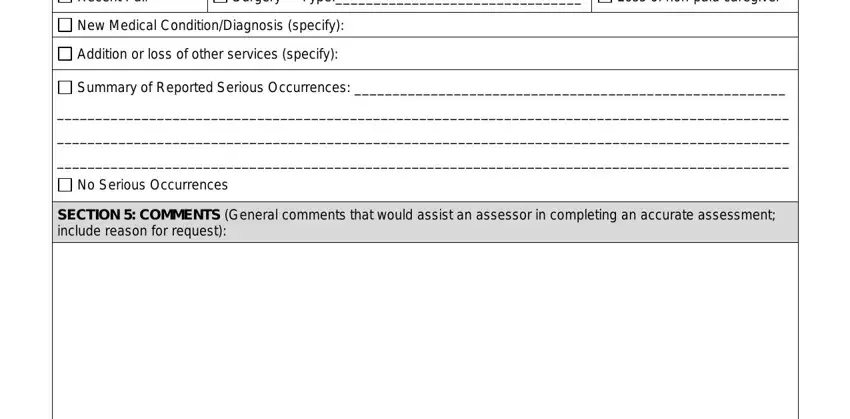 hp enterprise services healthcare nevada Recent Fall, Surgery, Type, Loss of nonpaid caregiver, New Medical ConditionDiagnosis, Addition or loss of other services, Summary of Reported Serious, No Serious Occurrences, and SECTION  COMMENTS General comments blanks to fill