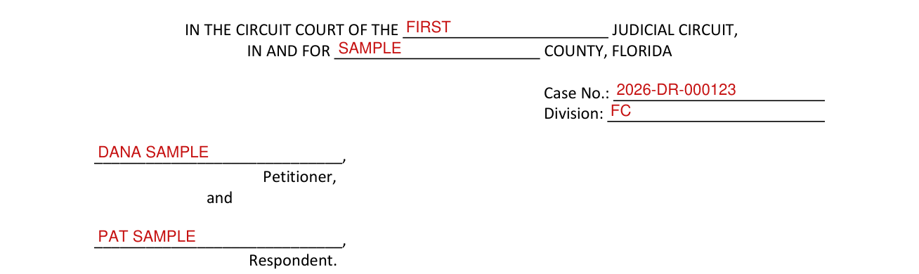 Form 12.900(h) example filled out, judicial Circuit, County, Case No. and Division