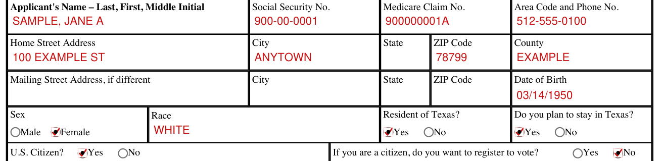 Form H1200-EZ example filled out, applicant
