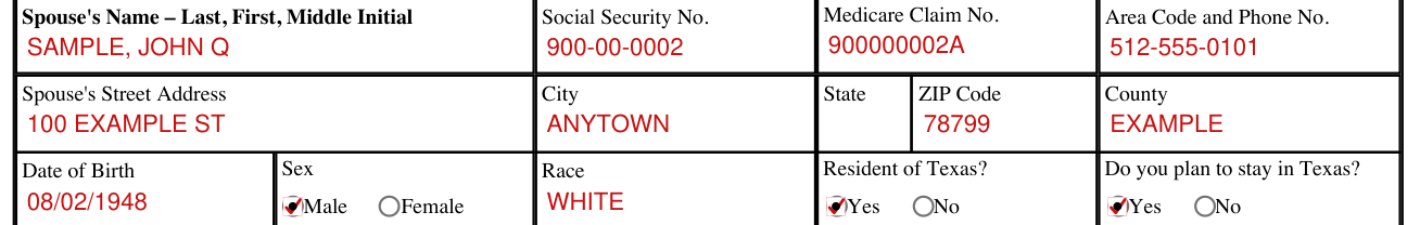 Form H1200-EZ example filled out, spouse