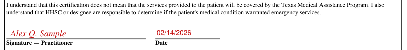 Form H3038 example filled out, signature - Practitioner and Date