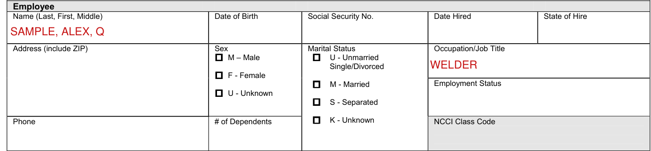 Form IA-1 example filled out, occupation/Job Title and Employment Status