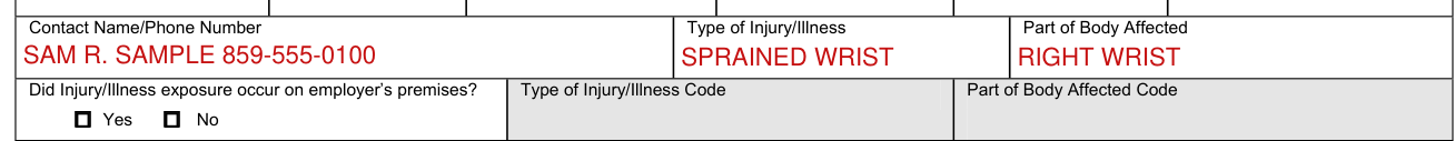 Form IA-1 example filled out, type of Injury/Illness and Part of Body Affected