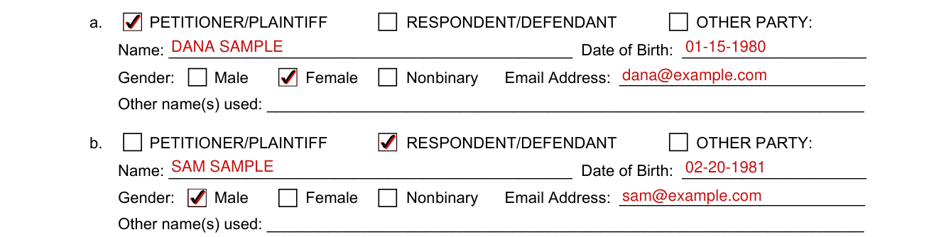 Form L-1120 example filled out, parties to the case