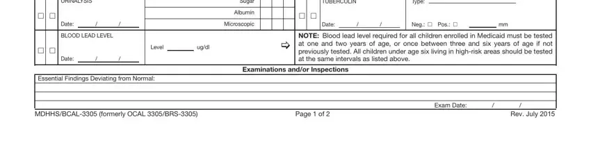 Filling in Form Mdch Bcal 3305 stage 3
