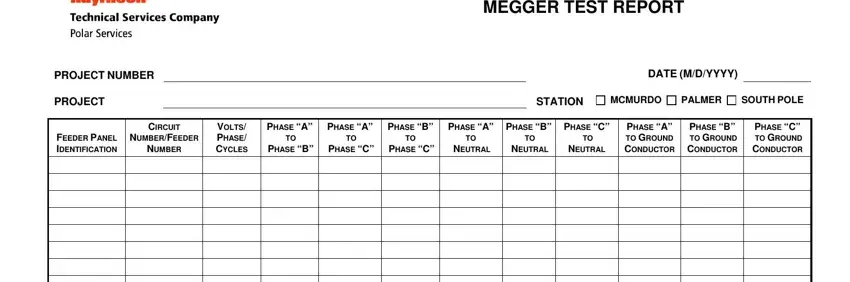 part 1 to filling in form megger test