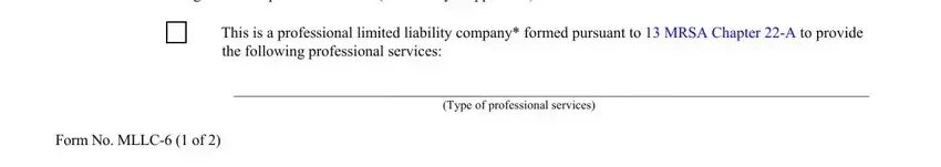 Form Mllc 6 FOURTH, Designation as a professional LLC, the following professional services, This is a professional limited, Type of professional services, and Form No MLLC  of fields to complete
