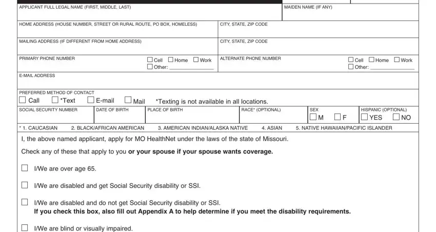 example of empty fields in missouri medicaid application pdf