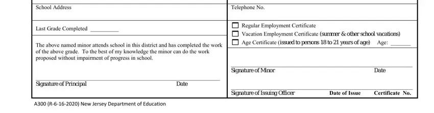 Completing nj minor working papers step 3