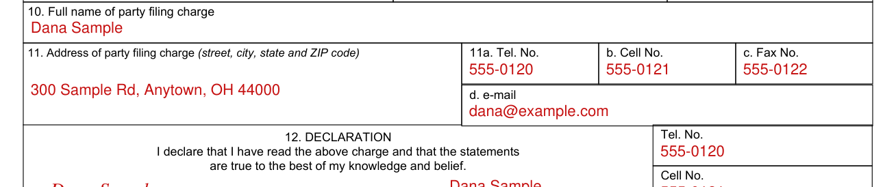 Form NLRB-508 example filled out, party filing the charge