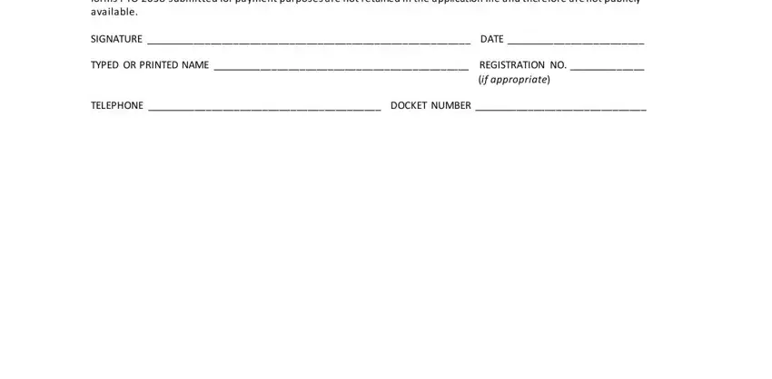 MN Petitionerapplicant is cautioned, SIGNATURE  DATE, TYPED OR PRINTED NAME, REGISTRATION NO, if appropriate, TELEPHONE, and DOCKET NUMBER blanks to fill out