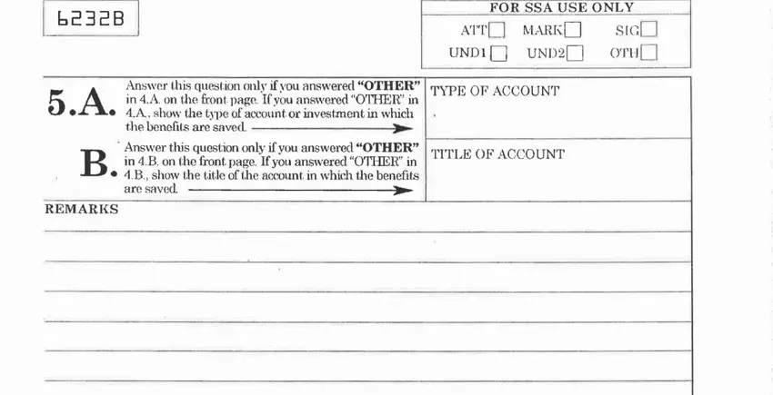 form 623 aresaved, TYPEOFACCOUNT, TITLEOFACCOUNT, and REMARKS blanks to insert