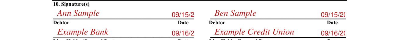 Form T 234 example filled out, section 10, the signatures