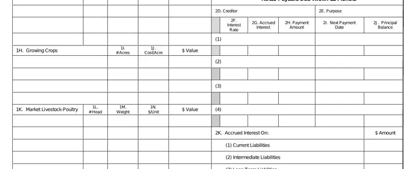 fsa farm business plan worksheet H Growing Crops, I  Acres, J CostAcre, Value, Notes Payable Due Within  Months, E Purpose, G Accrued Interest, H Payment Amount, I Next Payment Date, J Principal Balance, D Creditor, F Interest Rate, K Market LivestockPoultry, L  Head, and M Weight fields to complete