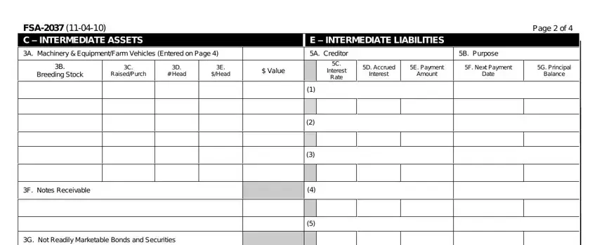 fsa farm business plan worksheet FSA  C INTERMEDIATE ASSETS, E INTERMEDIATE LIABILITIES, P age  of, A Machinery  EquipmentFarm, B Breeding Stock, C RaisedPurch, D  Head, E Head, Value, A Creditor, C Interest Rate, B Purpose, D Accrued Interest, E Payment Amount, and F Next Payment Date blanks to fill out