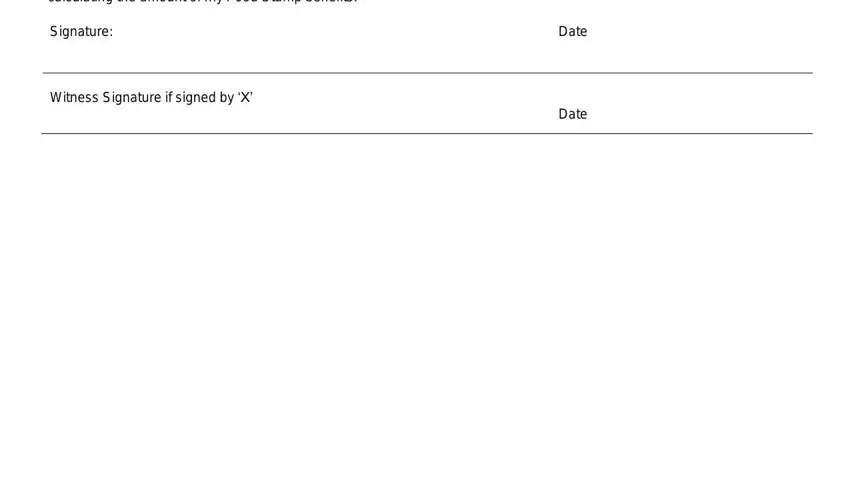 Filling in form 508 food stamp part 3