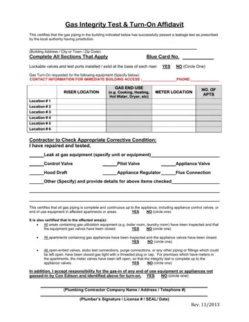 Gas Integrity Test Form Preview