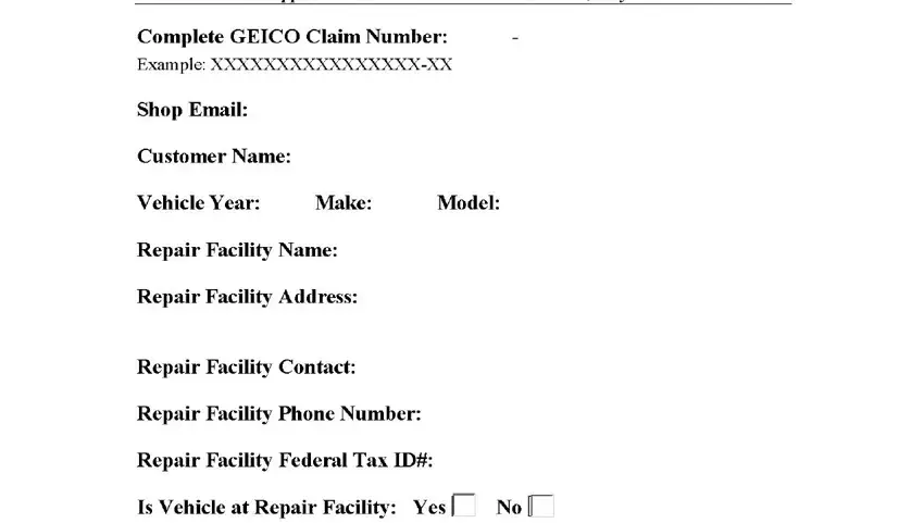 completing geico auto claim supplement form part 1