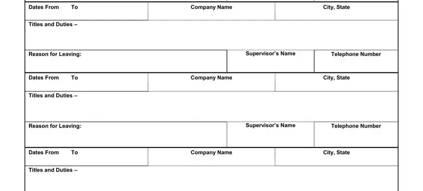 Entering details in idaho employment application part 2