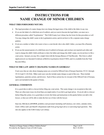 Georgia Change Name Minor Form Preview