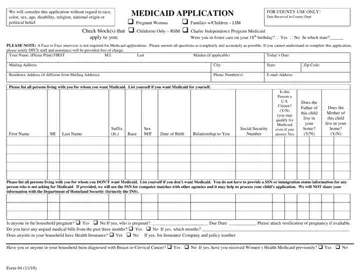 Georgia Form Medicaid Application Preview