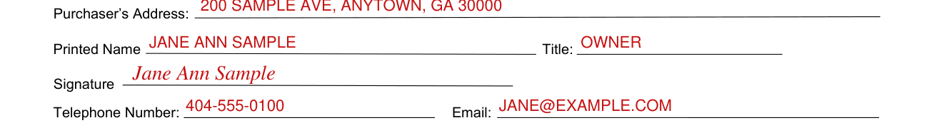 Georgia Form ST 5 example filled out, printed Name, Title, Telephone Number and Email
