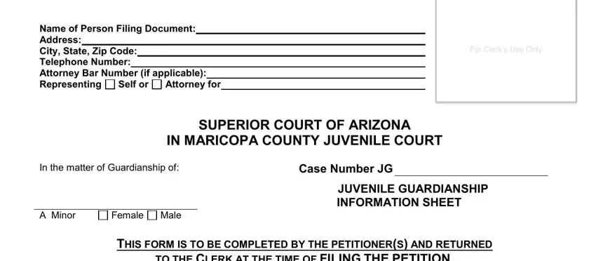 Entering details in temporary custody form arizona part 3