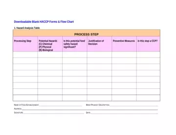Haccp Blank Form Preview