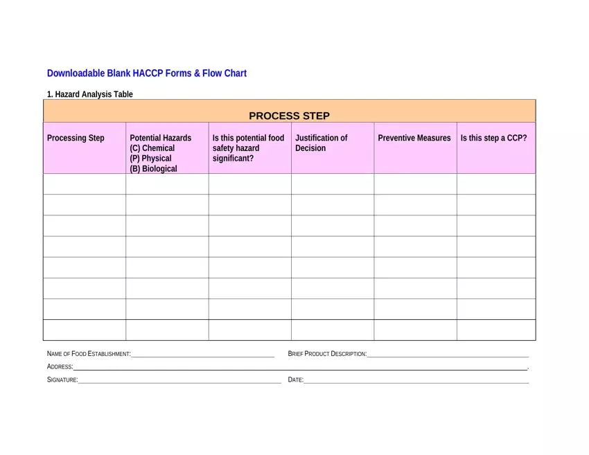 Haccp Blank Form first page preview