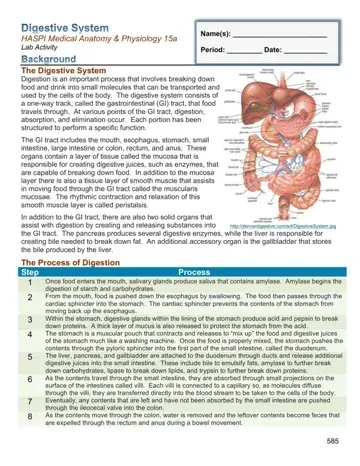 Haspi Medical Anatomy Physiology Lab Form Preview