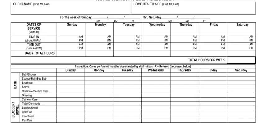 entering details in printable home health aid duty sheet stage 1