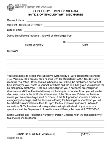 Hfs 3731 Form Preview