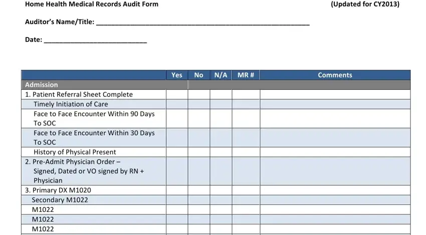 example of blanks in home health chart audit tools